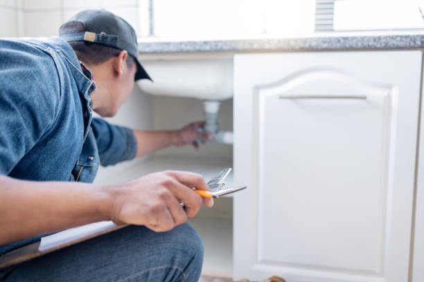 Best Local Plumber Services  in Dexter, MO